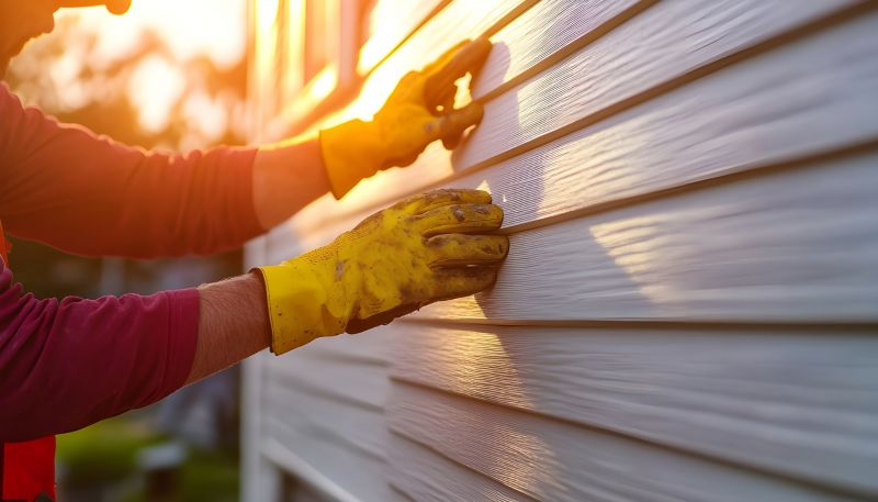 Vinyl Siding Repair Consultation