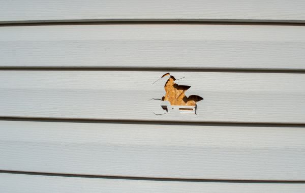 Cost of Siding Hole Repair in Eden Prairie
